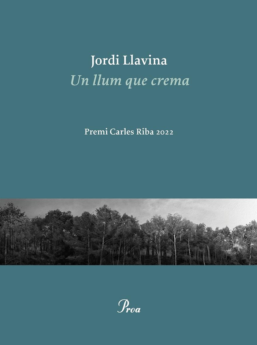 Un llum que crema | 9788475889979 | Llavina, Jordi