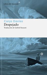 Despejado | 9788410178328 | Davies, Carys