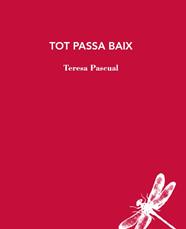 Tot passa baix | 9788412577426 | Pascual, Teresa